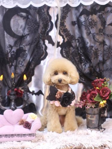 20231025サラちゃん